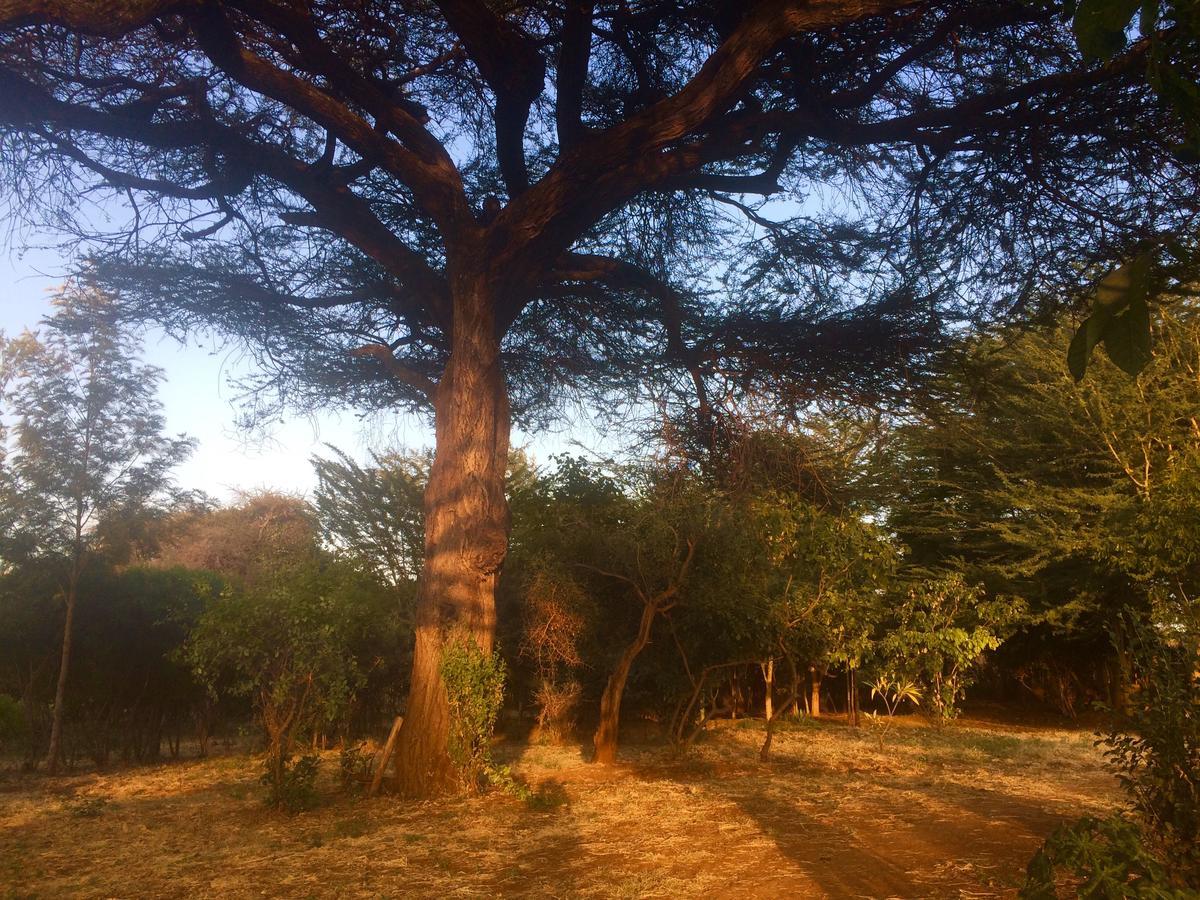 Vila Amboseli Eco Camp Exteriér fotografie
